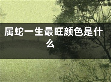 属蛇一生最旺颜色是什么