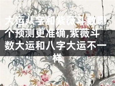 大运八字和紫薇斗数哪个预测更准确,紫薇斗数大运和八字大运不一样