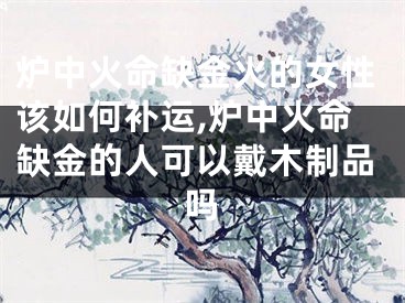 炉中火命缺金火的女性该如何补运,炉中火命缺金的人可以戴木制品吗