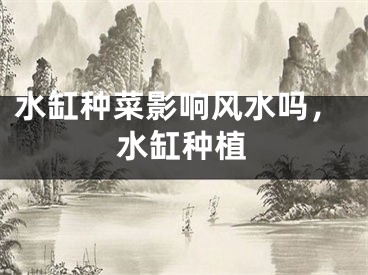 水缸种菜影响风水吗，水缸种植