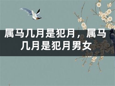 属马几月是犯月，属马几月是犯月男女