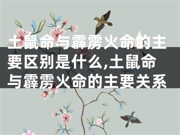 土鼠命与霹雳火命的主要区别是什么,土鼠命与霹雳火命的主要关系