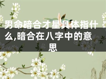 男命暗合才星具体指什么,暗合在八字中的意思
