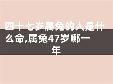 四十七岁属兔的人是什么命,属兔47岁哪一年