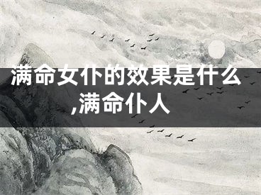 满命女仆的效果是什么,满命仆人