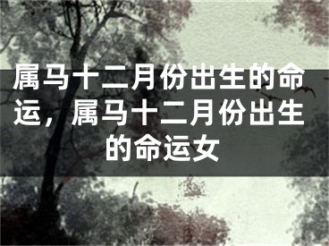 属马十二月份出生的命运，属马十二月份出生的命运女
