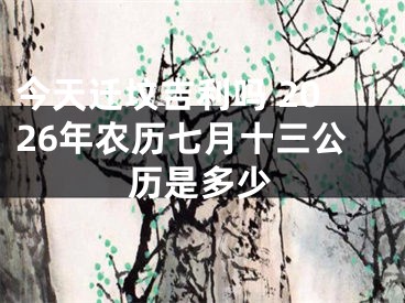 今天迁坟吉利吗 2026年农历七月十三公历是多少