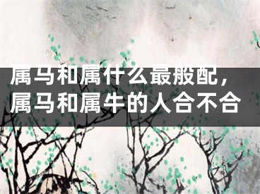属马和属什么最般配，属马和属牛的人合不合