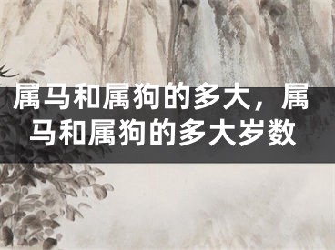 属马和属狗的多大,属马和属狗的多大岁数