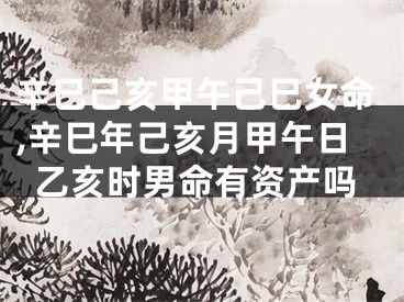 辛巳己亥甲午己巳女命,辛巳年己亥月甲午日乙亥时男命有资产吗