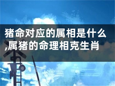 猪命对应的属相是什么,属猪的命理相克生肖