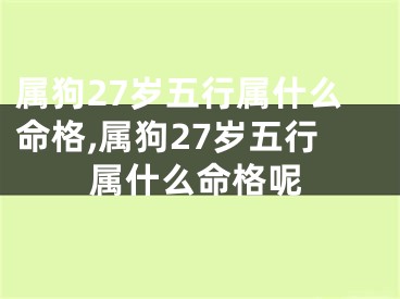 属狗27岁五行属什么命格,属狗27岁五行属什么命格呢