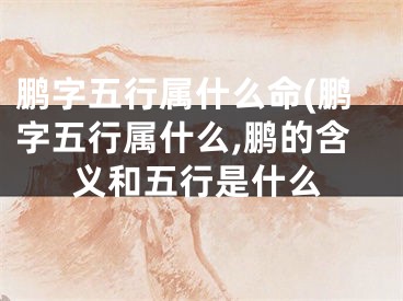 鹏字五行属什么命(鹏字五行属什么,鹏的含义和五行是什么