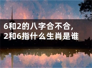 6和2的八字合不合,2和6指什么生肖是谁