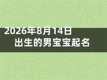 2026年8月14日出生的男宝宝起名