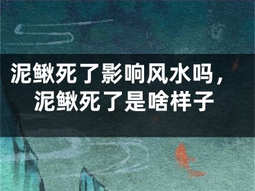 泥鳅死了影响风水吗,泥鳅死了是啥样子
