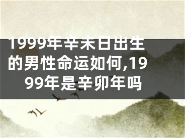 1999年辛未日出生的男性命运如何,1999年是辛卯年吗