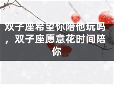 双子座希望你陪他玩吗,双子座愿意花时间陪你