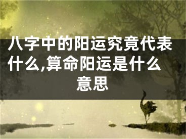 八字中的阳运究竟代表什么,算命阳运是什么意思