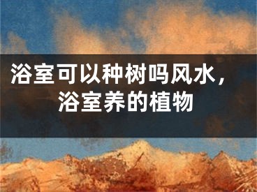 浴室可以种树吗风水，浴室养的植物