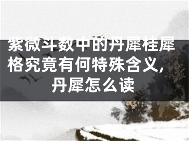 紫微斗数中的丹犀桂犀格究竟有何特殊含义,丹犀怎么读