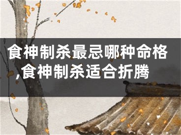 食神制杀最忌哪种命格,食神制杀适合折腾