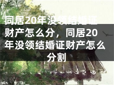 同居20年没领结婚证财产怎么分,同居20年没领结婚证财产怎么分割