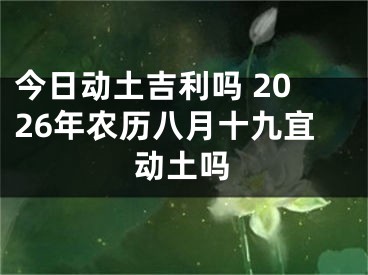 今日动土吉利吗 2026年农历八月十九宜动土吗