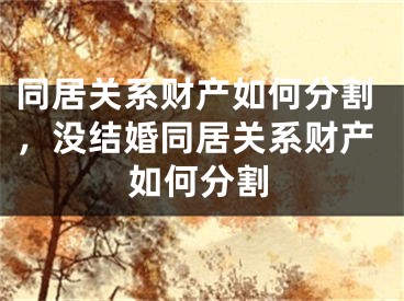 同居关系财产如何分割，没结婚同居关系财产如何分割