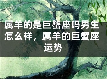属羊的是巨蟹座吗男生怎么样，属羊的巨蟹座运势