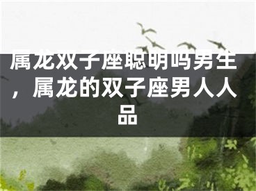 属龙双子座聪明吗男生，属龙的双子座男人人品