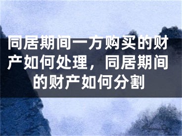 同居期间一方购买的财产如何处理，同居期间的财产如何分割