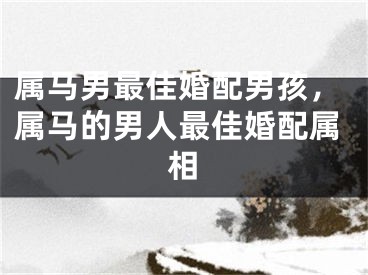 属马男最佳婚配男孩，属马的男人最佳婚配属相