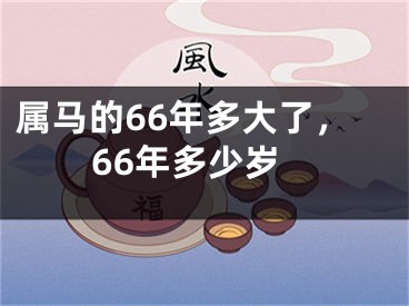 属马的66年多大了，66年多少岁