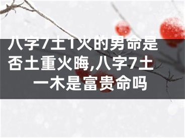 八字7土1火的男命是否土重火晦,八字7土一木是富贵命吗