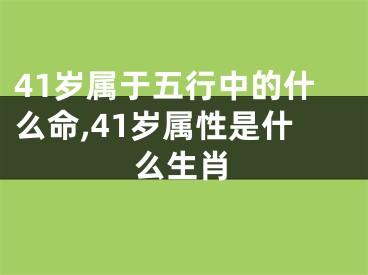 41岁属于五行中的什么命,41岁属性是什么生肖