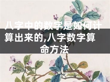 八字中的数字是如何计算出来的,八字数字算命方法