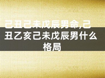 己丑己未戊辰男命,己丑乙亥己未戊辰男什么格局