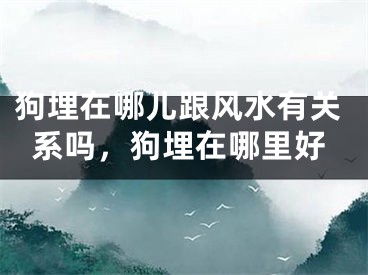 狗埋在哪儿跟风水有关系吗，狗埋在哪里好