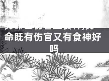男命四伤官二食神,男命既有伤官又有食神好吗