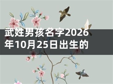 武姓男孩名字2026年10月25日出生的