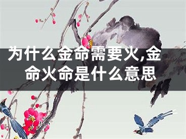 为什么金命需要火,金命火命是什么意思