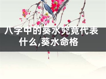 八字中的葵水究竟代表什么,葵水命格