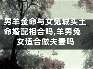 男羊金命与女兔城头土命婚配相合吗,羊男兔女适合做夫妻吗