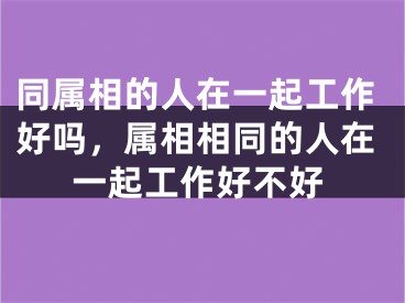 同属相的人在一起工作好吗,属相相同的人在一起工作好不好