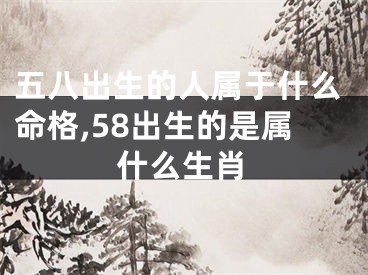五八出生的人属于什么命格,58出生的是属什么生肖