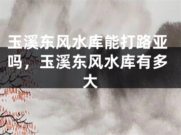 玉溪东风水库能打路亚吗，玉溪东风水库有多大