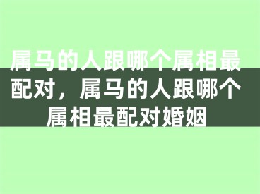 属马的人跟哪个属相最配对,属马的人跟哪个属相最配对婚姻