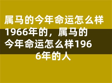属马的今年命运怎么样1966年的，属马的今年命运怎么样1966年的人
