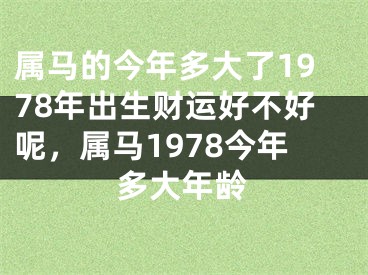 属马的今年多大了1978年出生财运好不好呢，属马1978今年多大年龄